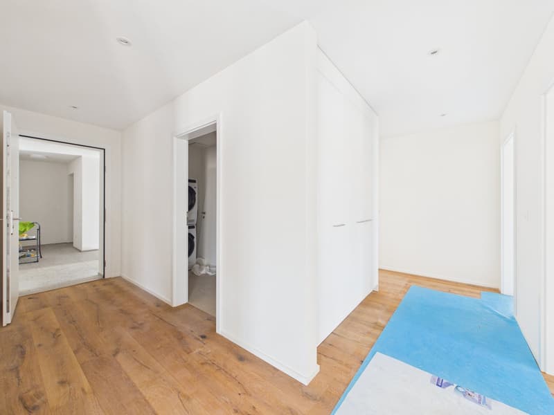 Exclusive new apartment for the first time (18)