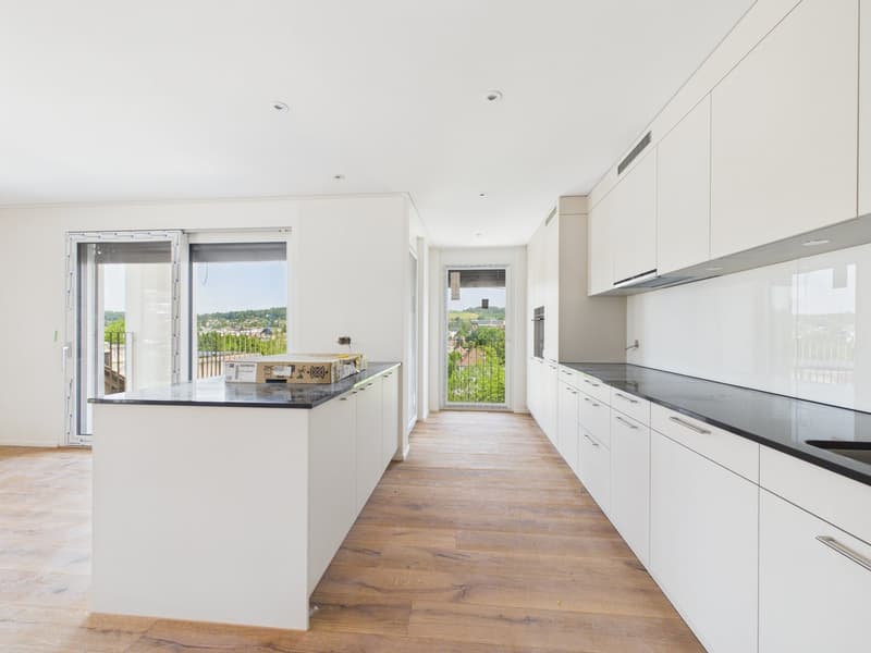 Exclusive new apartment for the first time (4)