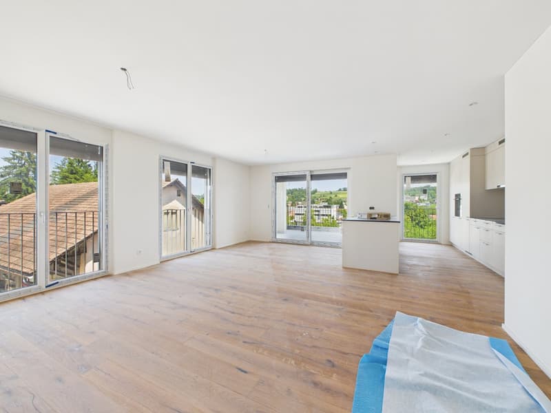 Exclusive new apartment for the first time (6)