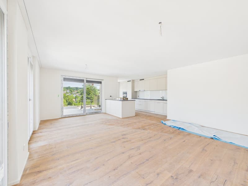 Exclusive new apartment for the first time (5)