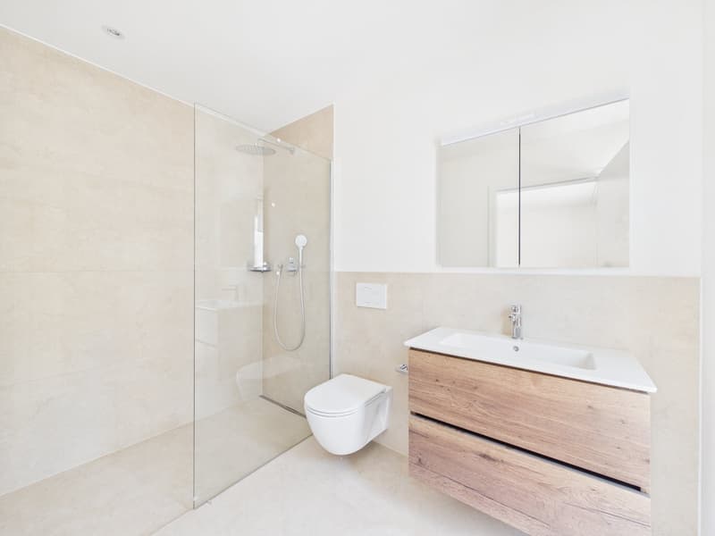 Exclusive new apartment for the first time (12)