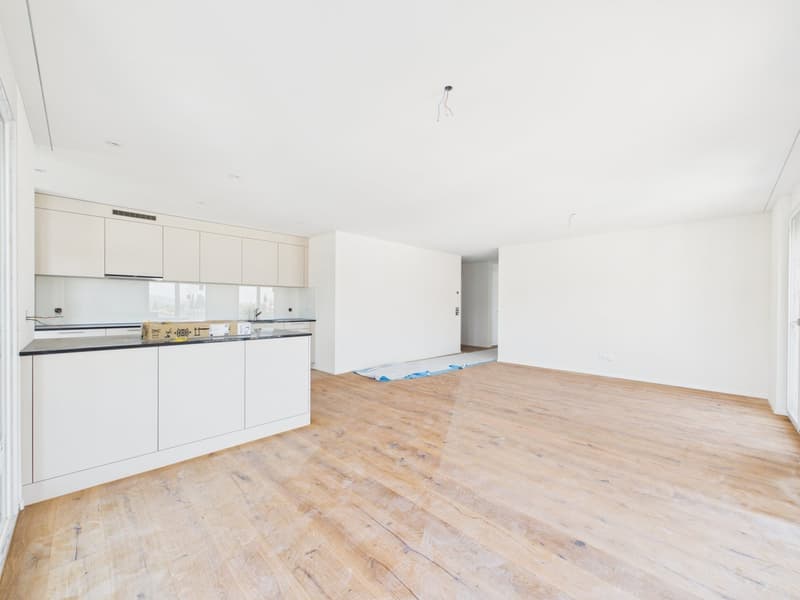 Exclusive new apartment for the first time (7)