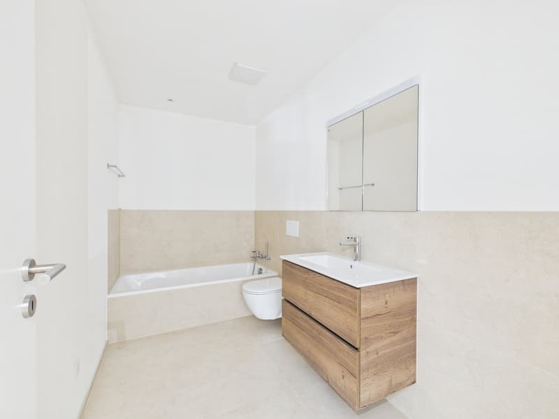 Exclusive new apartment for the first time (11)