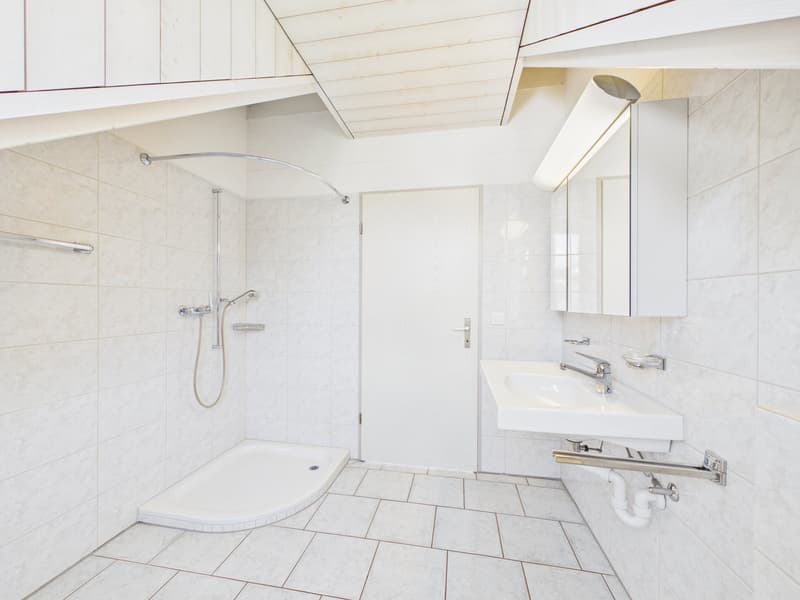 Exclusive attic apartment in an unbeatable location (13)