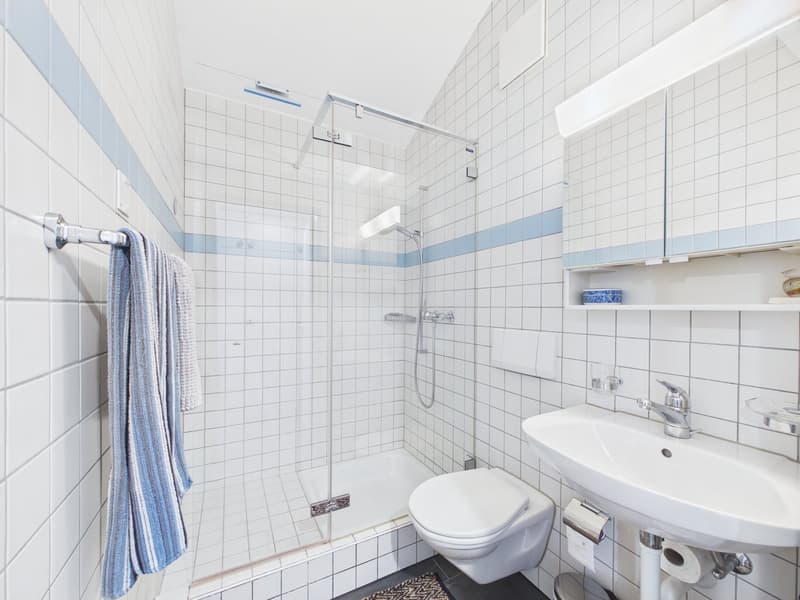 Wohnen mit Charakter – Maisonette-Dachwohnung mit zwei Galerien (12)