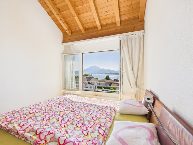 Traumhafte See- und Bergsicht am Fusse der Rigi (8)