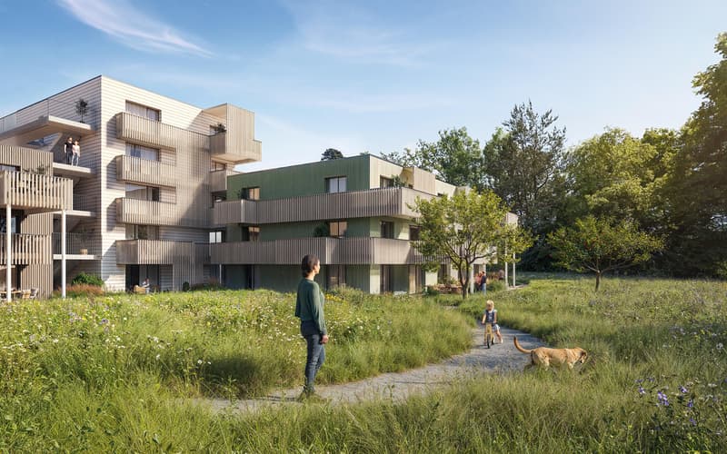 Nouvelle construction d'un appartement de 5,5 pièces en propriété à Schaffhausen (1)