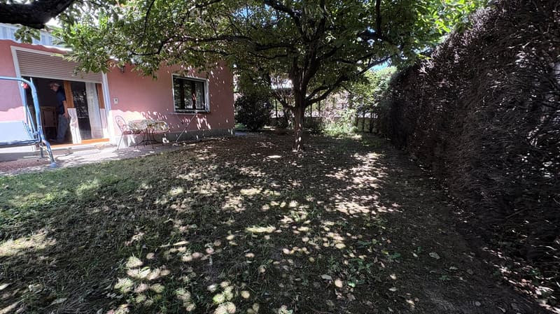 Two-story house with a pink exterior, surrounded by a lush garden with a large tree providing shade. There is a patio or balcony area visible in the foreground.