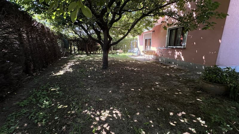 Lush green backyard with a large tree providing shade, a paved path leading to a patio area with outdoor furniture, and a well-maintained garden surrounding the property.