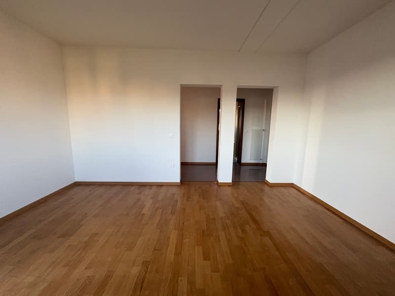 Bright apartment of large size for rent – central and quiet context (4)