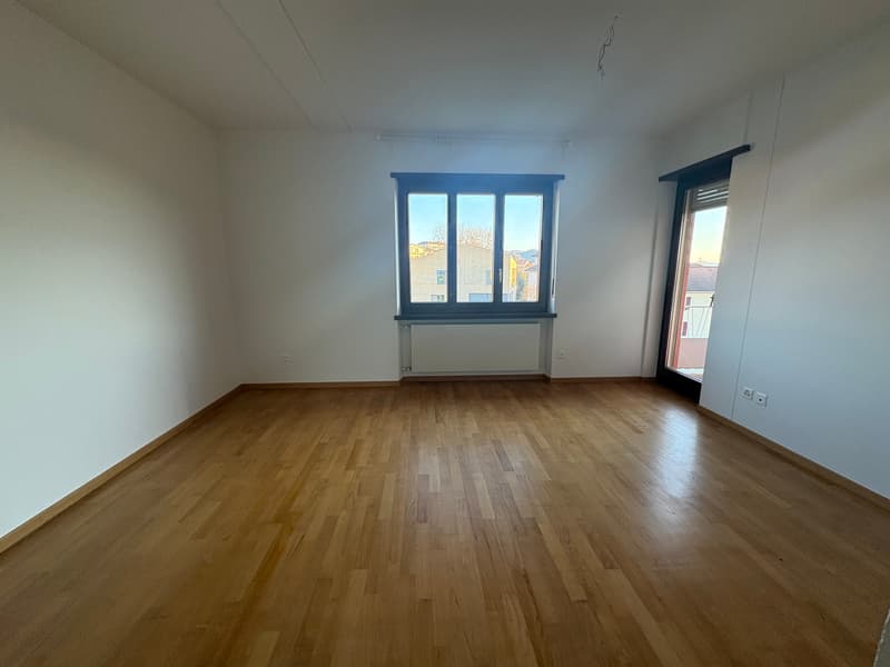 Bright apartment of large size for rent – central and quiet context (3)