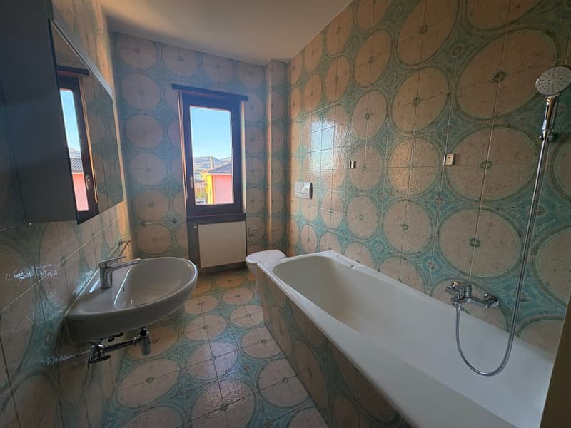 Bright apartment of large size for rent – central and quiet context (10)