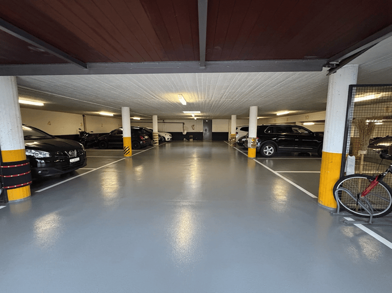 Elegante 3.5 locali completamente ristrutturato con terrazzo, autorimessa e parco privato (10)