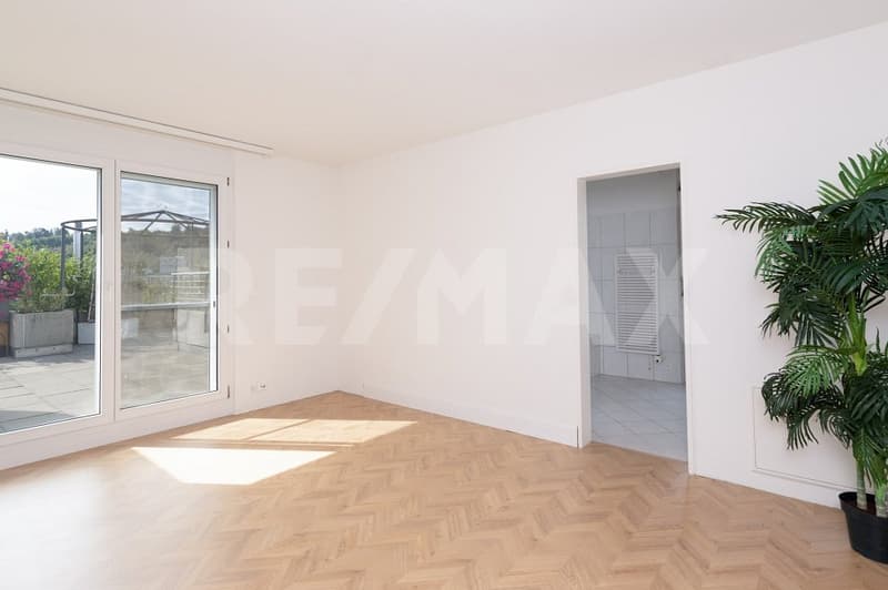 Exklusive Terrassenwohnung mit Panorama-Aussenbereich und höchstem Wohnkomfort (11)
