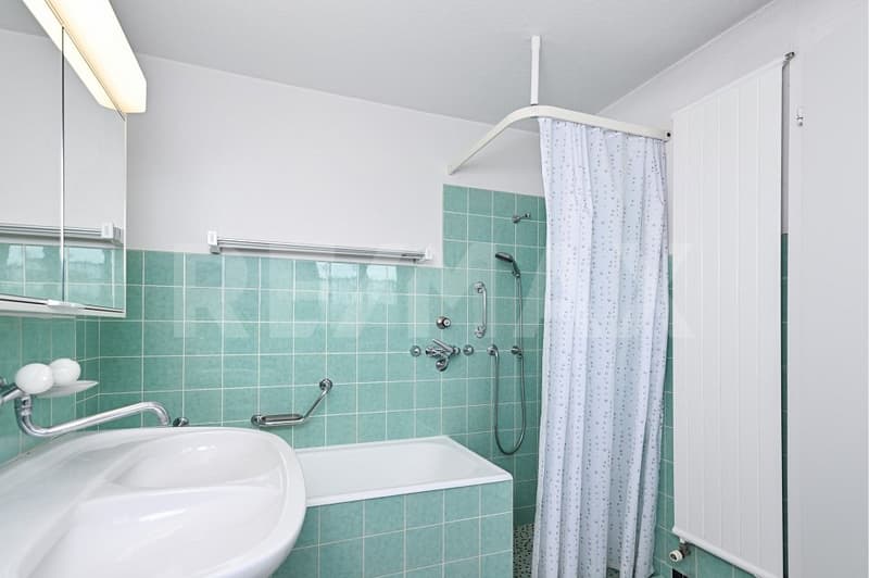 Willkommen in Ihrem neuen Zuhause im Hardau-Quartier in Wülflingen (Winterthur) (7)