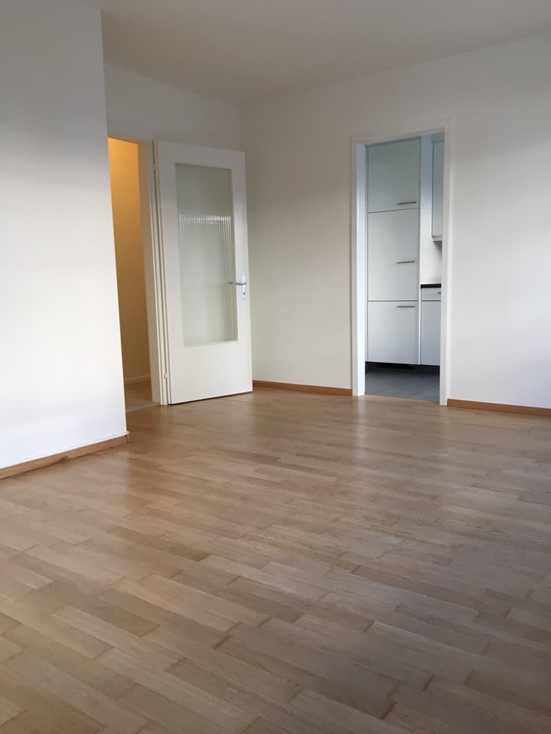Morderne 1-Zimmerwohnung Nähe Dreirosenbrücke (2)