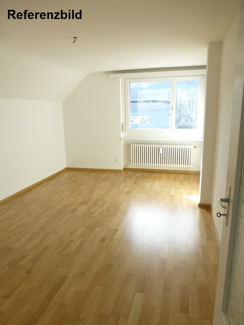 Helle Singlewohnung Frenkendorf! (4)