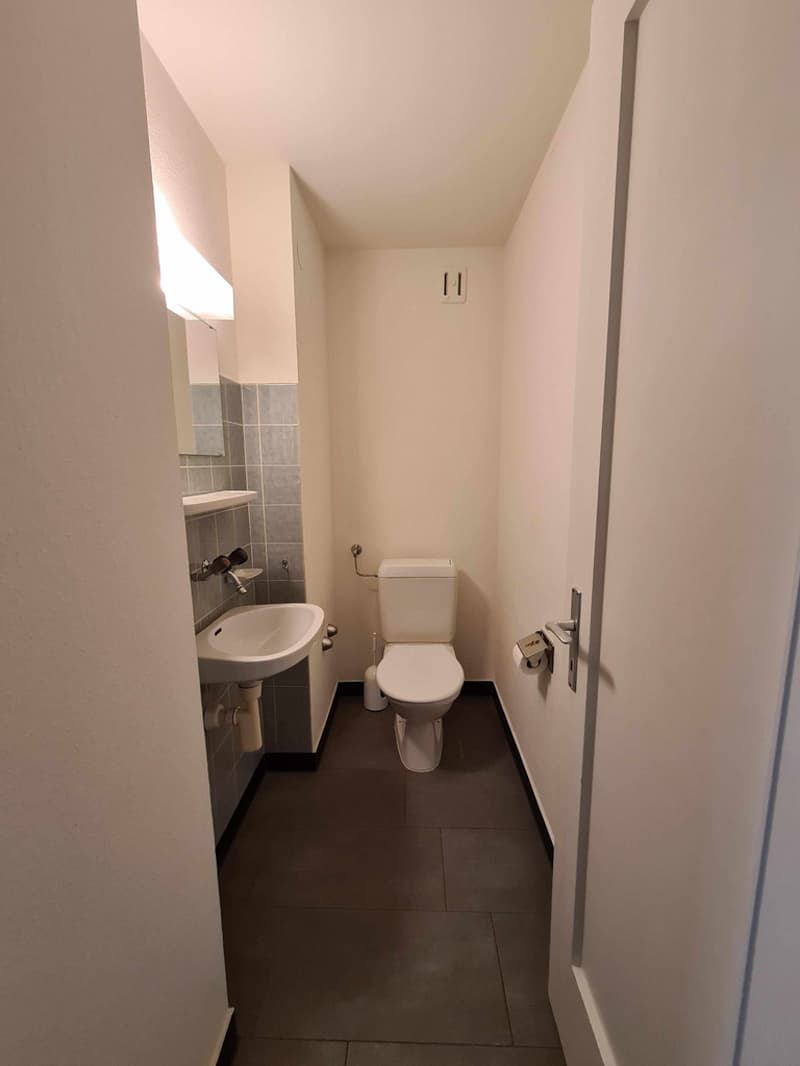 Beispielbild_sep._WC.jpg