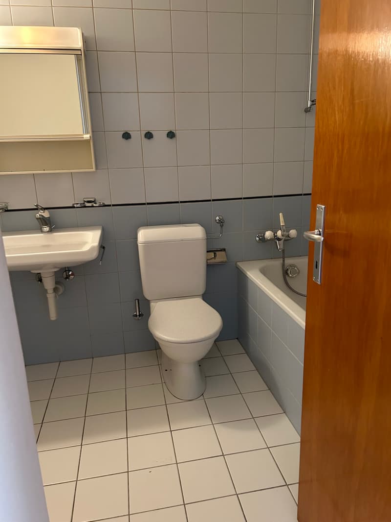 Schöne 3-Zimmer-Wohnung mit Balkon an ruhiger Lage (5)