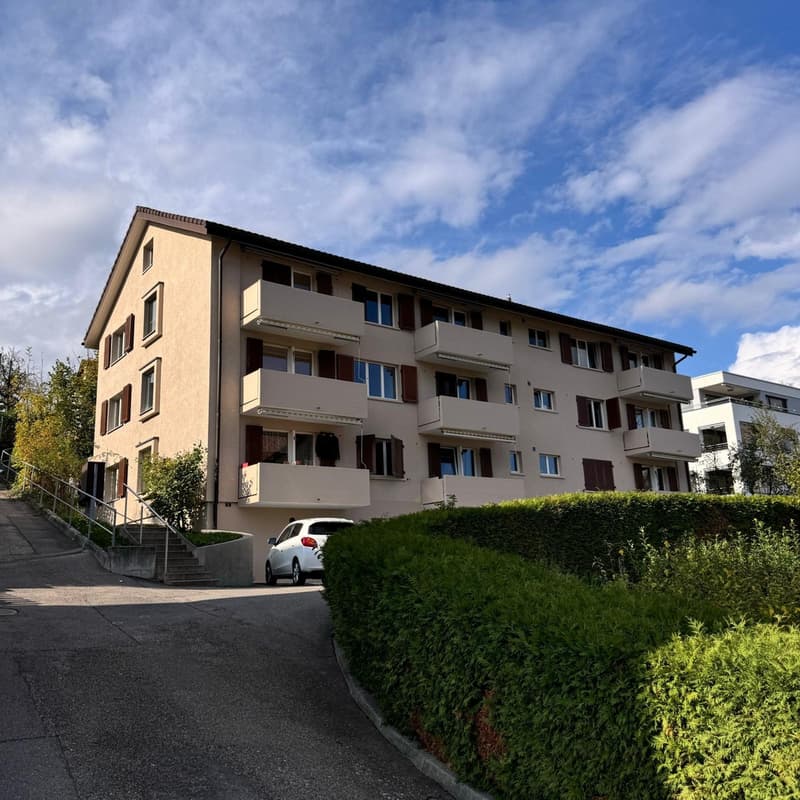sanierte_Fassade-1.JPG