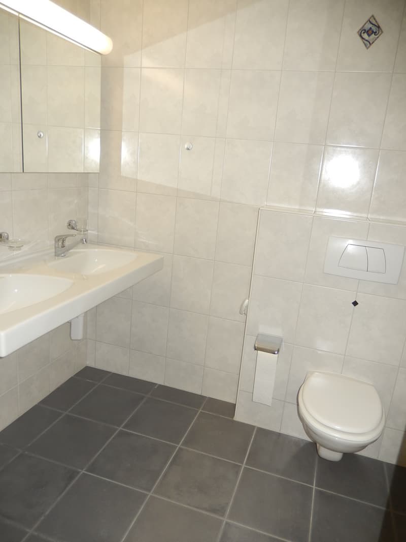 14580.04.3101_WC_Dusche_.JPG