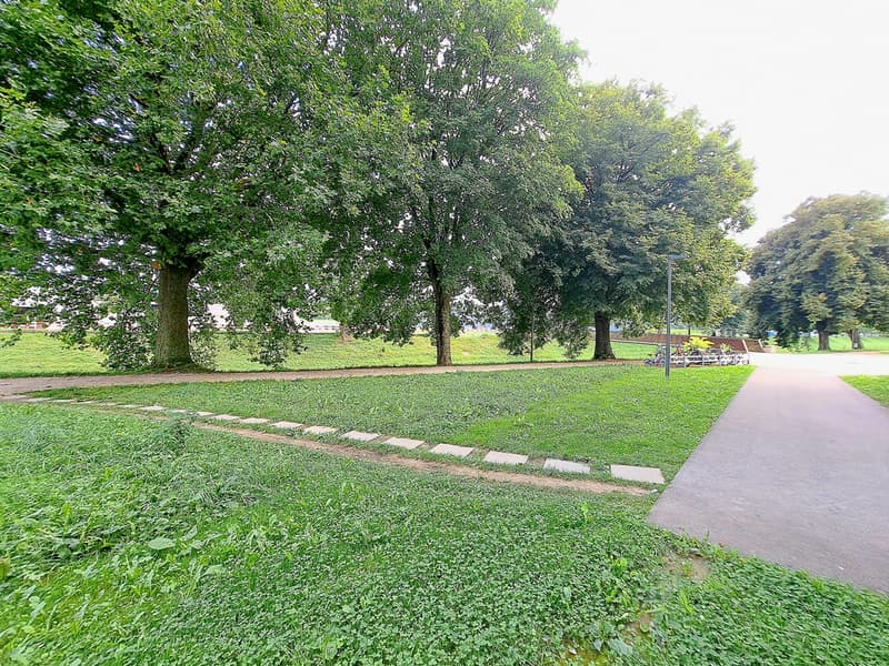 20240904_161001.jpg