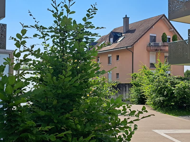 20240627_103559.jpg