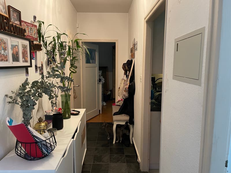 Image_74.jpg