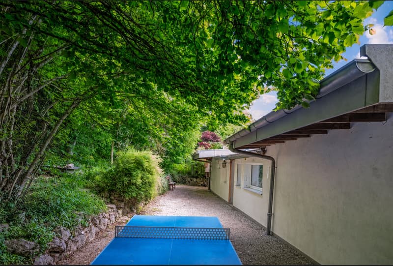 Casa ecologica con 7 locali, piscina e grande giardino a Losanna (7)