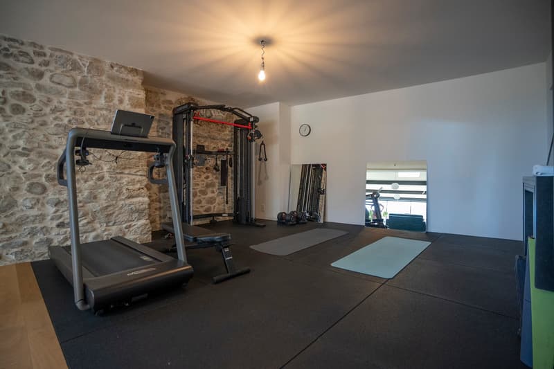 Exceptional master house, entirely renovated (11)