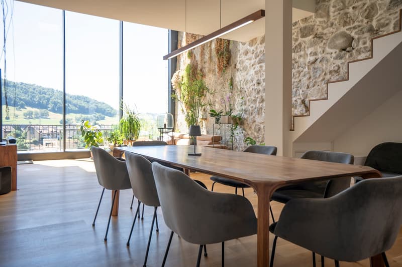 Exceptional master house, entirely renovated (3)