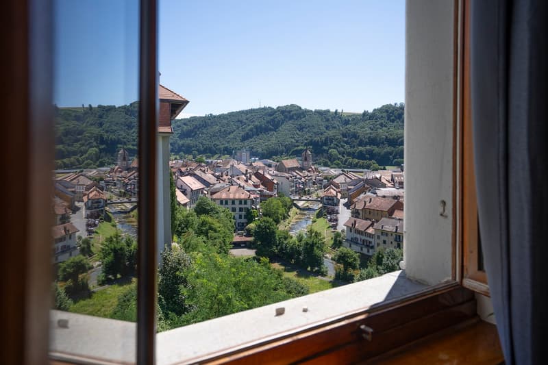 Exceptional master house, entirely renovated (8)