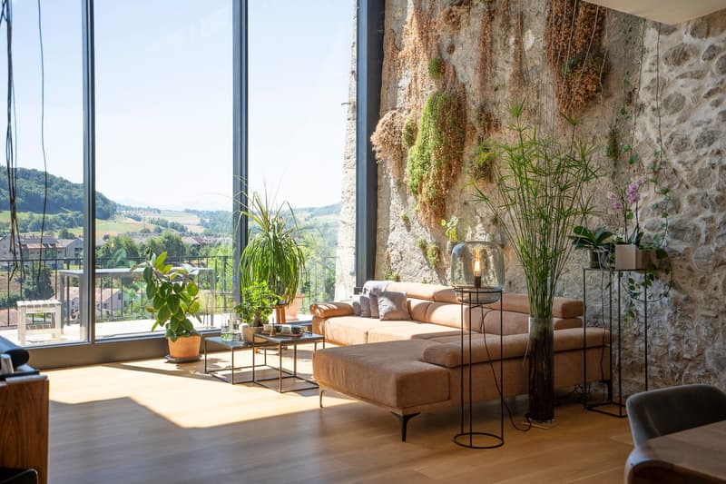 Exceptional master house, entirely renovated (2)