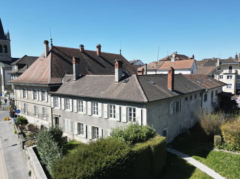 Magnificent 4.5-room apartment with private access (5)