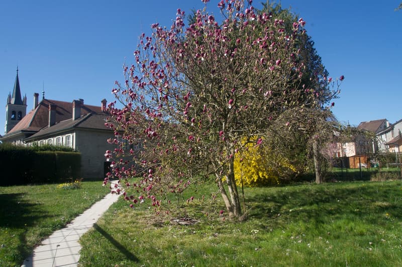 Appartement (LOT 9) de 4.5 pièces avec cachet au 2ème étage (2)