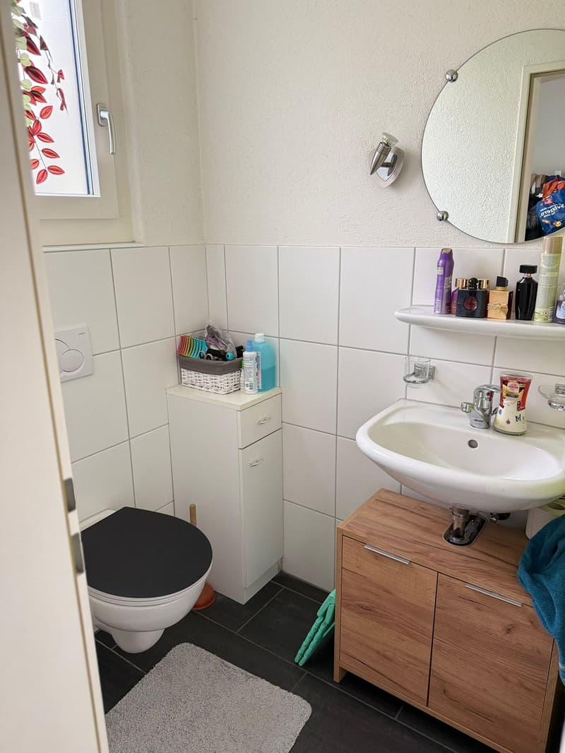Modern semi-detached house in a quiet location in Sins (6)