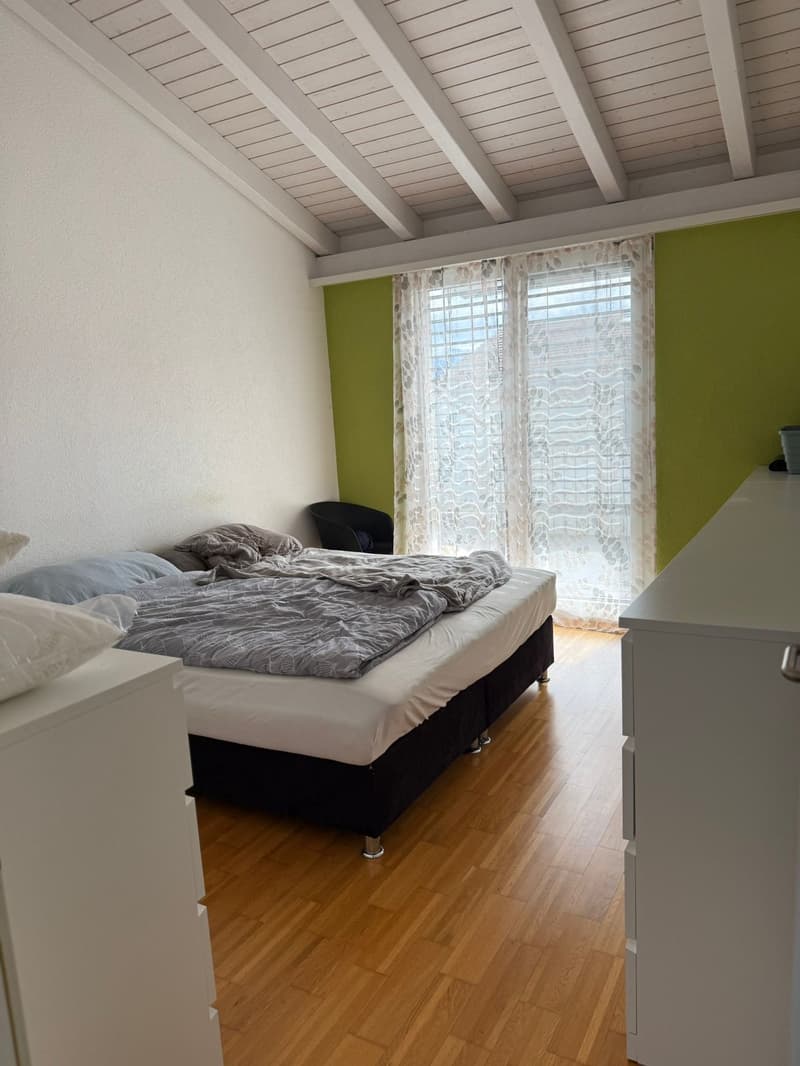 Modern semi-detached house in a quiet location in Sins (2)