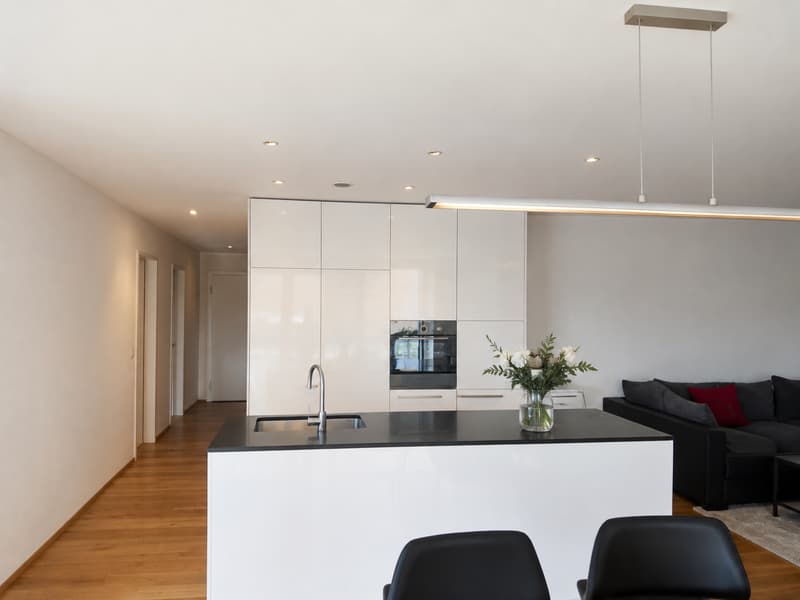 Moderne 4.5-Zimmer-Wohnung mit Balkon und Lift in Jonen (4)