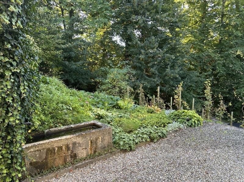 Gartenbereich