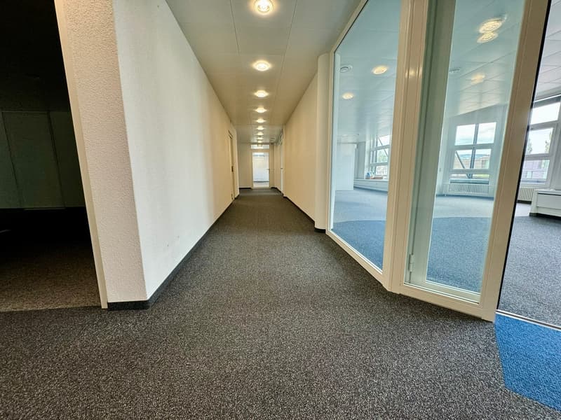 an empty, long hallway with carpeting, glass walls, and windows