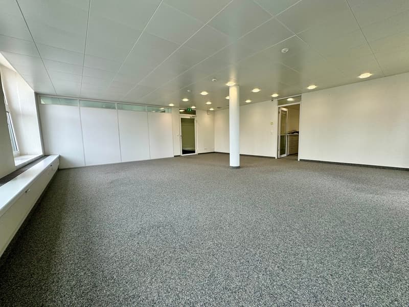 Spacious room with gray carpet, white walls, a central white column, a window with an outdoor view, and two entrances.
