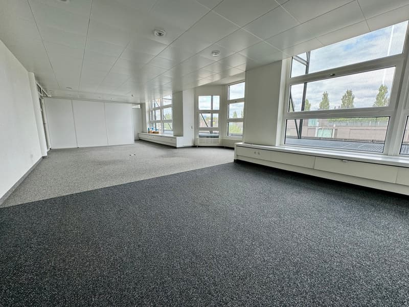 empty room, large windows, white walls, grey carpet, white benches, heating radiators