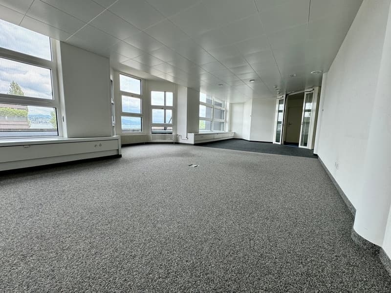 An empty room with a ceiling, walls, windows, two radiators, two black carpet areas, and large windows offering a scenic view.