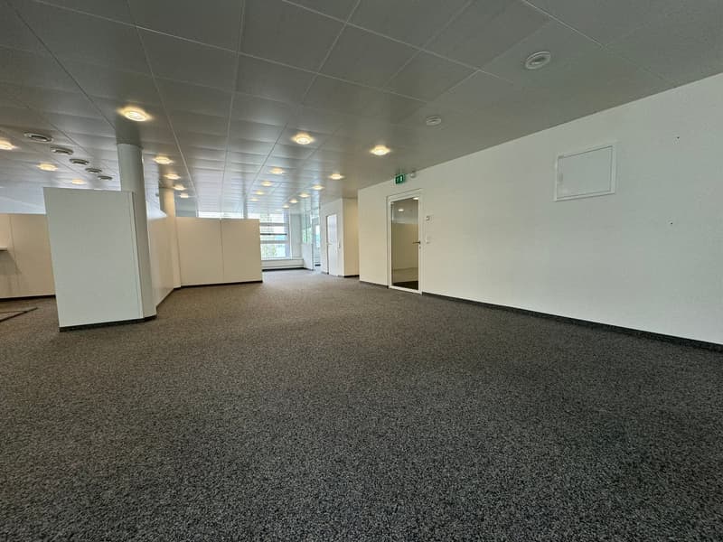 The image shows a large, open office space with a gray carpeted floor, white walls, and a suspended ceiling with recessed lighting. The space appears to be empty, with no furniture or other objects visible. There are several doors leading to other rooms o