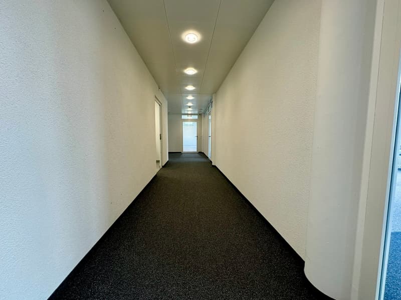 Long, narrow hallway with white walls, recessed lighting, and a dark carpeted floor leading to a door at the end.