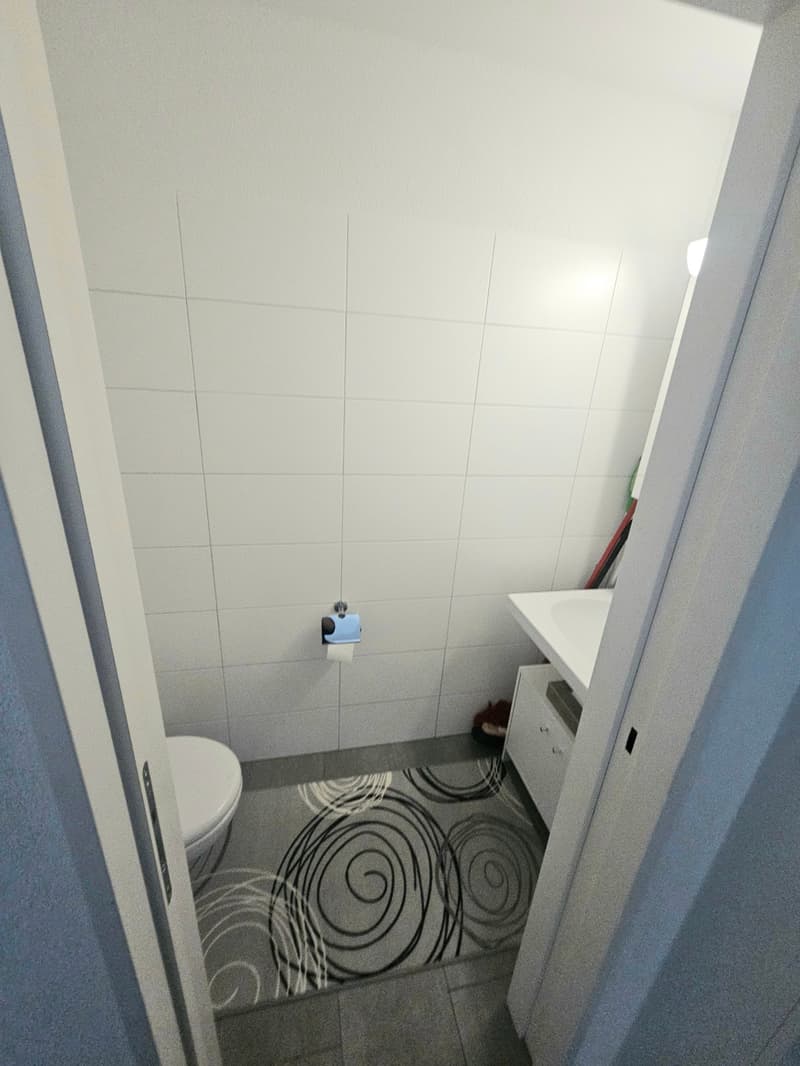 Gemütliche 2.5-Zimmer-Wohnung mit Balkon in Affoltern am Albis (3)