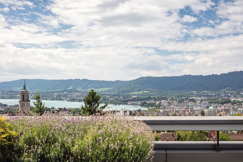 Bright senior apartment with a view in Zurich (5)