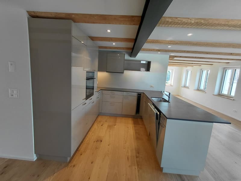 Charmante 2.5 Zimmer-Loftwohnung in Ebertswil (2)