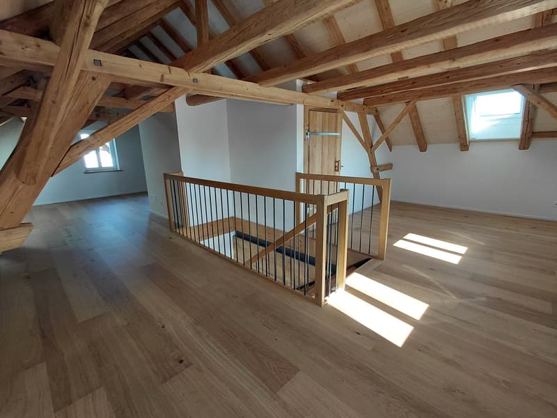 Charmante 2.5 Zimmer-Loftwohnung in Ebertswil (5)