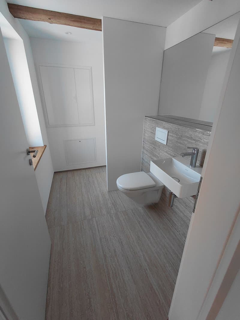 Charmante 2.5 Zimmer-Loftwohnung in Ebertswil (9)